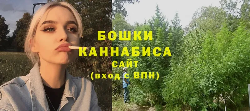 Бошки Шишки THC 21%  Дрезна 